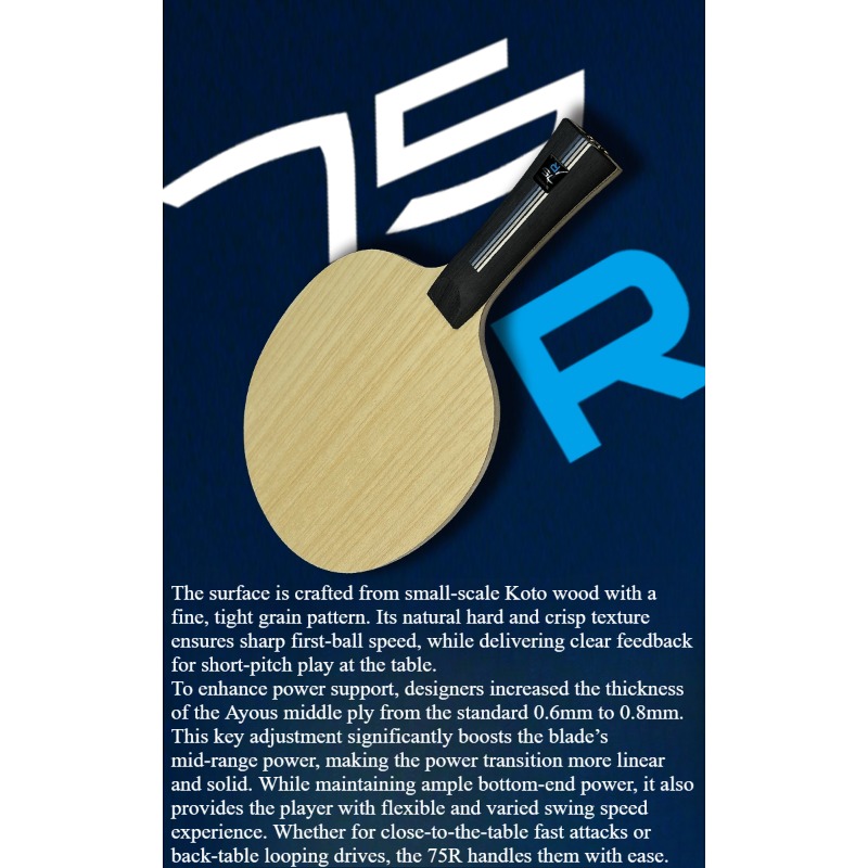 Raquete de Tênis de Mesa SANWE - Table Tennis Blades avaliação e preço